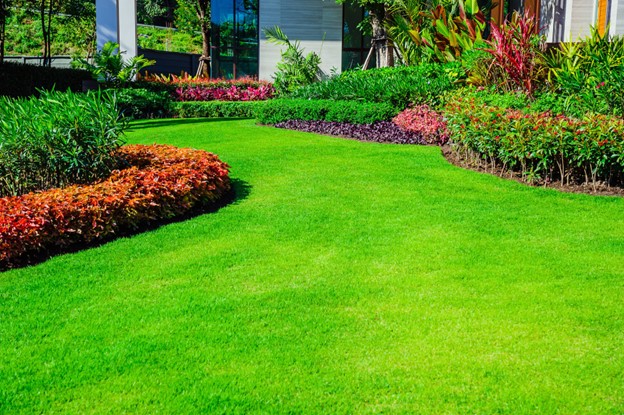 Self Propelled Lawn Mower